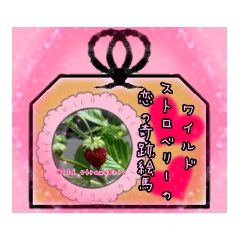 Wild strawberry amulet sticker