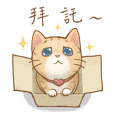 Cat's Lifestyle(Chinese Ver.)