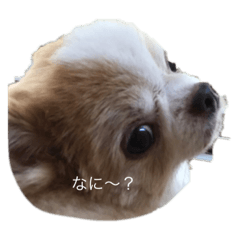 mimi_20200724215112