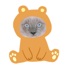 Yuina_20200725030824