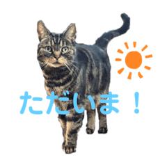 Risa_20200725090926