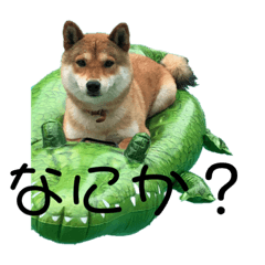 ryuki_20200725130626