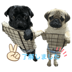 Riko_2020072513592563