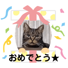 Risa_202007251444020620