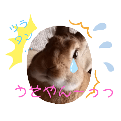 Nakamurahome_20200725123933