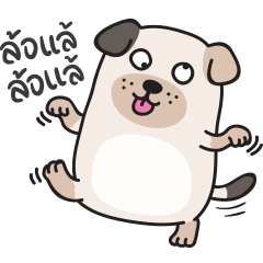 Pung Pon : Cute Little Dog