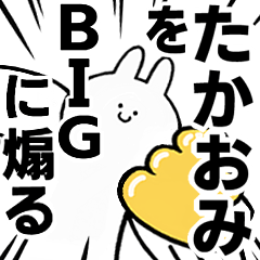 BIG Rabbits feeding [Takaomi]