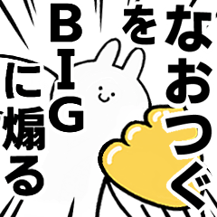 BIG Rabbits feeding [Naotugu]