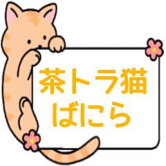vanilla sticker of cat