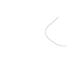 kong_20200725162500