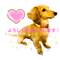 Kurumi_20200725162508