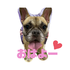 hana_20200725145108