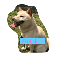 kanae_20200725152255