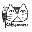 猫のKabamaru