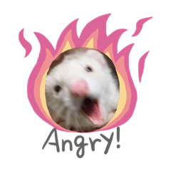 ayumi_20200725160424