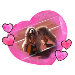 多力家族日常生活第二篇