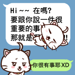 Daimao Cat's practical dialogue!