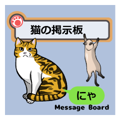 The cats message board