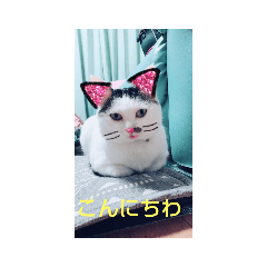 hana_20200725150728