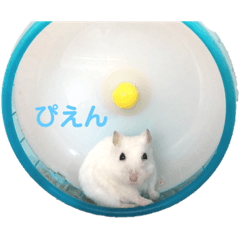 hikari_20200725223444