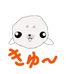 earless seal baby