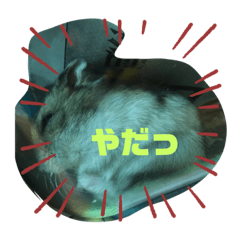 Emily_20200726091806