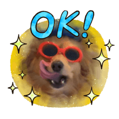 yukari_20200726094342