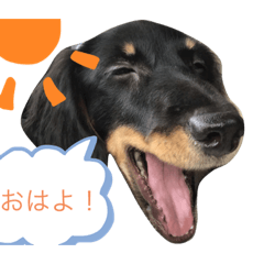 hiyori_20200725182351