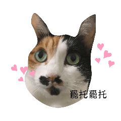 啊槑2.0
