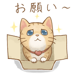 Cat's Lifestyle(Japanese Ver.)
