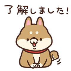 かわいい柴犬 まろ Line スタンプ Line Store