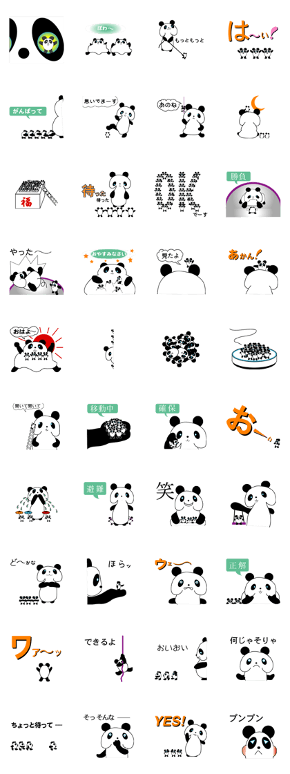 panda and pandas