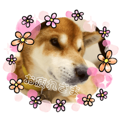 tomomi_20200725224534