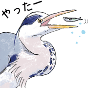 Popular birds