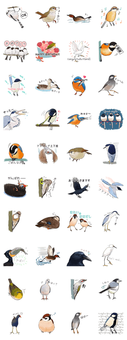 Popular birds