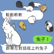 The group of the rabbit came(TWN)