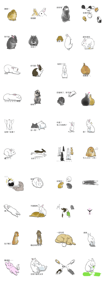 The group of the rabbit came(TWN)