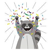 Lovely North American Raccoon