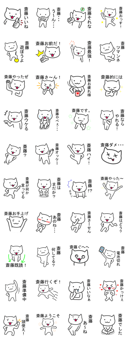 Cat to SAITO Daily use