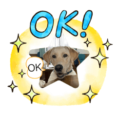 kazuki_20200726001058