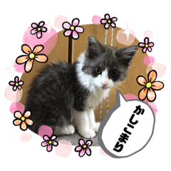 ayumi_20200726115354