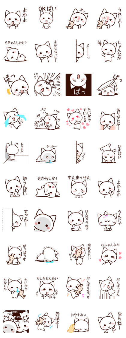 Kumamoto dialect cat 2