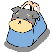 The name of this dog is ANKO Part2