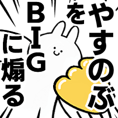 BIG Rabbits feeding [Yasunobu]