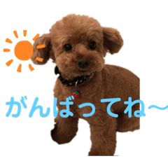 ryuki_20200726153629