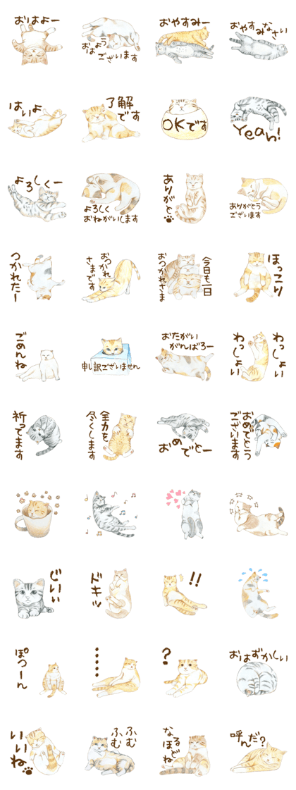 Warm and Fluffy Cats