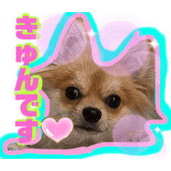 tetsu_20200726155123