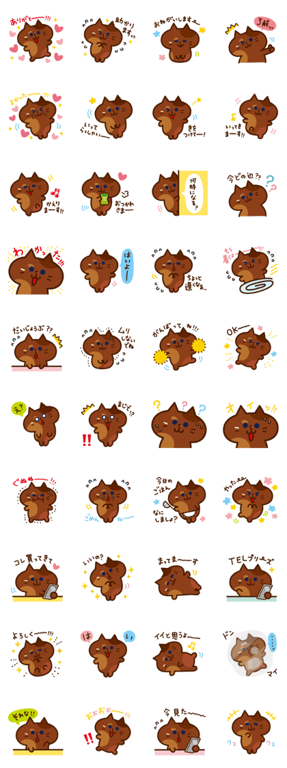 Tortoiseshell cat PERO
