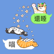 bobble cat message talk 3