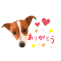 tomomi_20200726140519